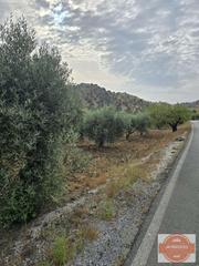 Terreno residencial en Con