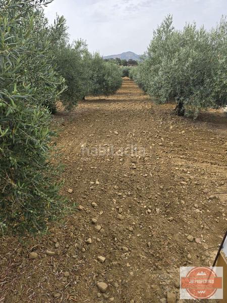 Foto 3d5dead7-002f-4424-918b-ca525fb27273. Terreno residencial en Coín