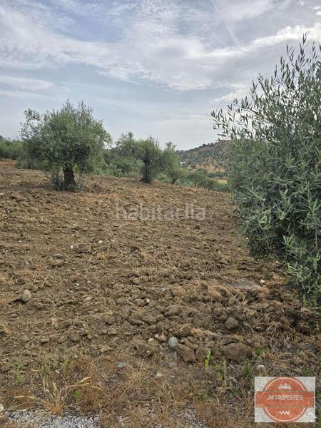 Foto 92af9a49-a29a-4afd-b897-515029150993. Terreno residencial en Coín