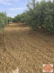 Terreno residencial en Con