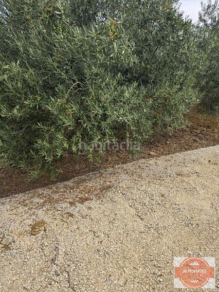 Foto 6ee646b2-c41b-41c5-b7b3-0f790b601c44. Terreno residenziale in Coín