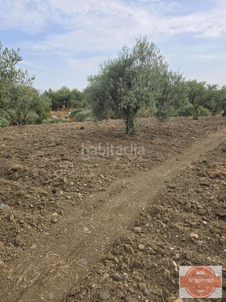 Foto e19c33b3-d052-4521-a4da-befb7e36cc69. Terreno residenziale in Coín