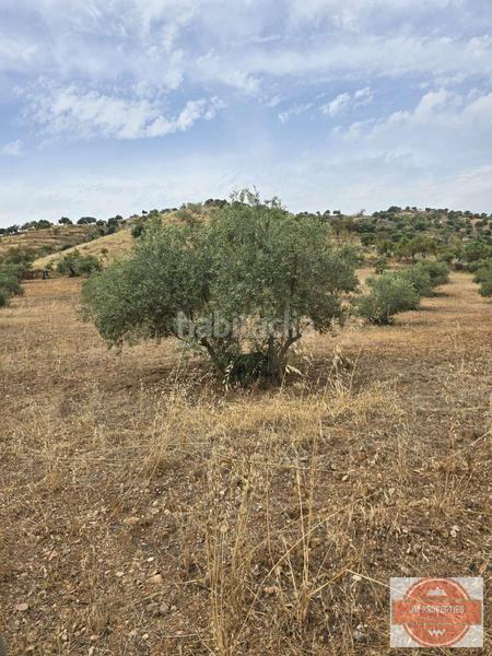 Foto b2066f3c-2afd-4f33-93ee-cef89284f739. Terreno residencial en Coín