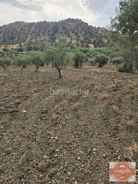 Foto d2d76a49-5607-48f5-9abb-0713367a3499. Terreno residencial en Coín