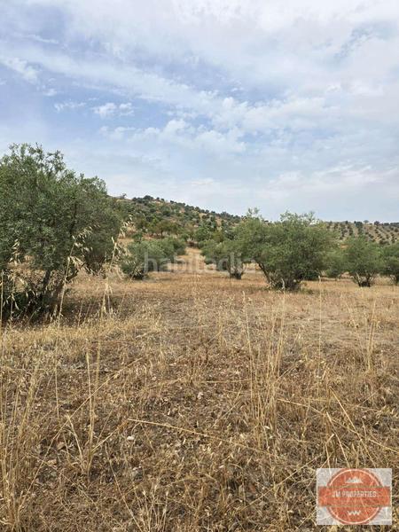 Foto f1fabf30-c99e-4090-b581-4e29f93fe837. Terreno residencial en Coín