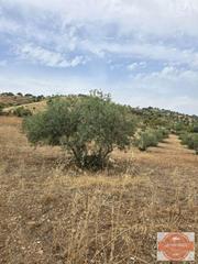 Terreno residenziale in Coín