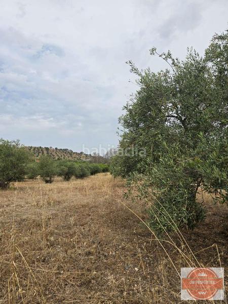 Foto 26933bd8-f379-4c6d-a348-d87029433496. Wohngrundstück in Coín