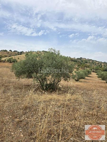 Foto 8375a488-f4f5-444c-8d55-b2502b3f7bcf. Wohngrundstück in Coín