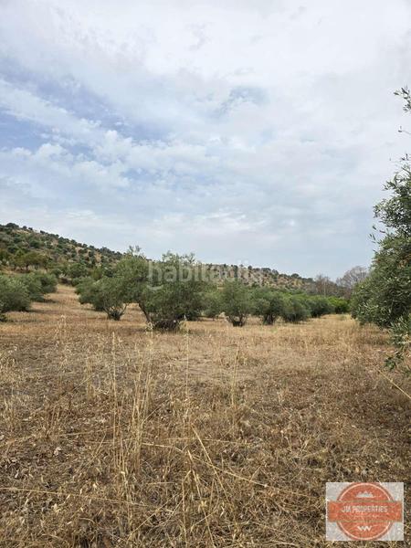 Foto 83a82fc3-5aa4-4aa6-b202-285a1a3aa999. Wohngrundstück in Coín