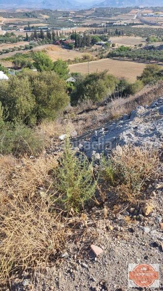 Foto 95806054-82c5-4edc-894c-93d253f10e5d. Terreno residenziale in Coín