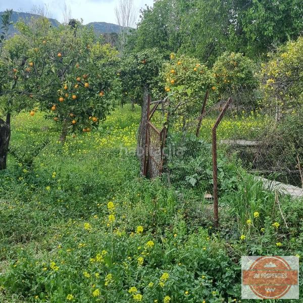 Foto 2183fb18-911c-4371-905a-afa0bb4cfe24. Terrain résidentiel dans Carratraca