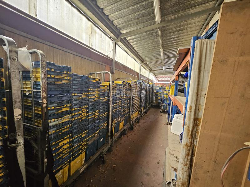 Foto 06036917-45c0-4a42-82b3-966542b3e212. Industrial building with heating in Moraleja de Enmedio