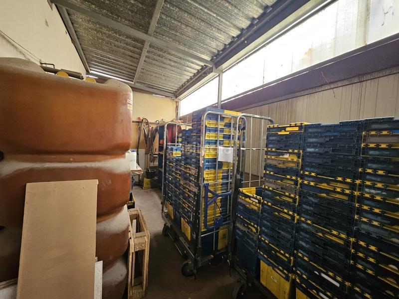 Foto e51eb461-7cdb-4ce2-b0d9-1ac8a99a9473. Industrial building with heating in Moraleja de Enmedio