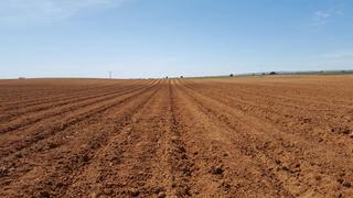 Fondo rustico in Daimiel. Compraventa y arrendamiento de fincas rústicas