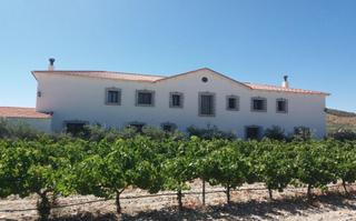Appartement à Oria. Bodega con viñedos y residencia para dedicar a hotel rural en ve