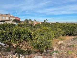 Terreny residencial a Benicull De Xúquer. Terreno urbano  benicull valencia