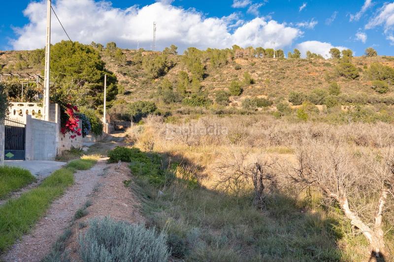 Foto 0d8885d4-2c39-4f3f-8289-a20d0b82e14b. Fondo rustico in Estivella