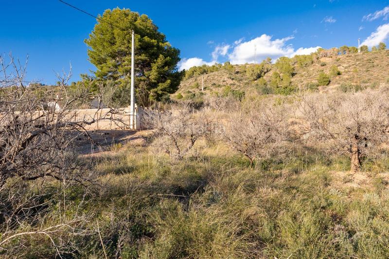 Foto 3d62b103-ffcc-4fcf-9843-8df4b8dd2efb. Fondo rustico in Estivella