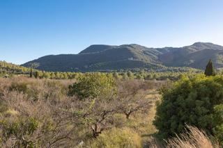 Finca rústica a Estivella. Terreno rústico en trámite para urbano