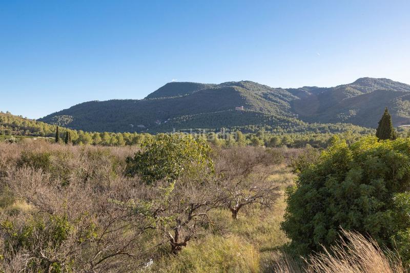 Foto 7cfc2b82-b9cb-4f97-9dee-db1d9e408585. Fondo rustico in Estivella