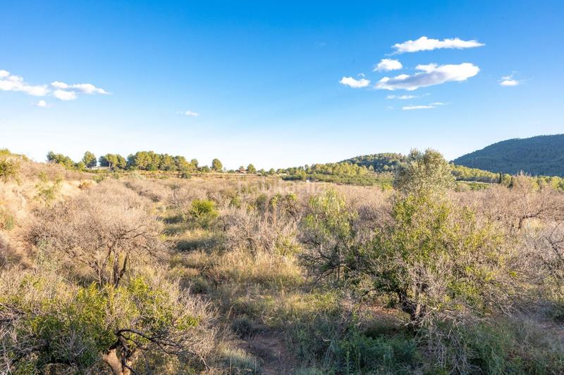 Foto 7e98a3d8-c4e7-4672-b003-57946cf63827. Fondo rustico in Estivella