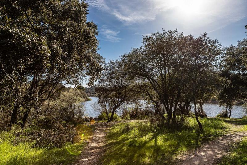 Foto a3ef2a04-b61a-4877-b02e-3ce4117e89f3. Casa chalet en venta cerro de alarcón en Cerro Alarcón Valdemorillo