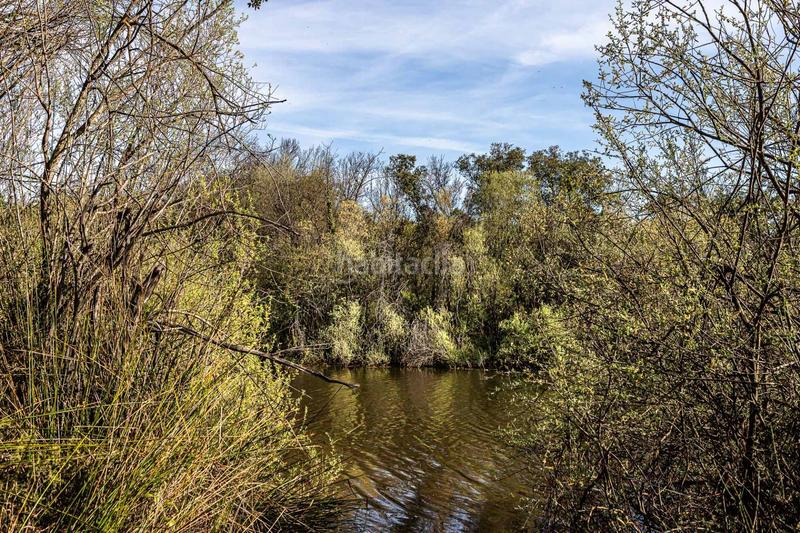 Foto ac8ca91f-d108-4152-91b9-ff6de2d3d4fc. Casa chalet en venta cerro de alarcón en Cerro Alarcón Valdemorillo