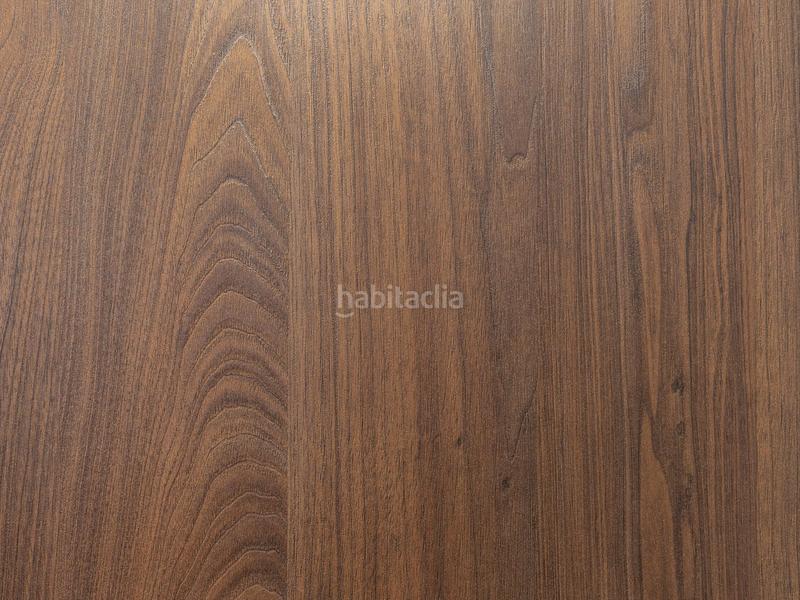 Foto 020bac23-e185-42d1-9b73-b000e9e31a33. Pis a El Botànic Valencia