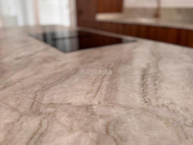 Foto 139421b8-0ea6-48ce-892c-39b1e584a938. Pis a El Botànic Valencia