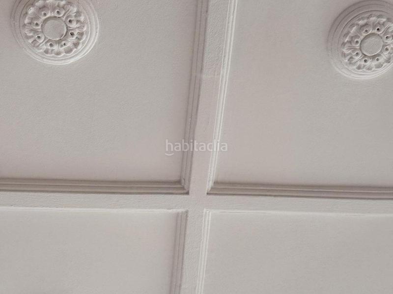 Foto c37c2027-ecd9-47a5-8302-343d6e266d6d. Pis a El Botànic Valencia