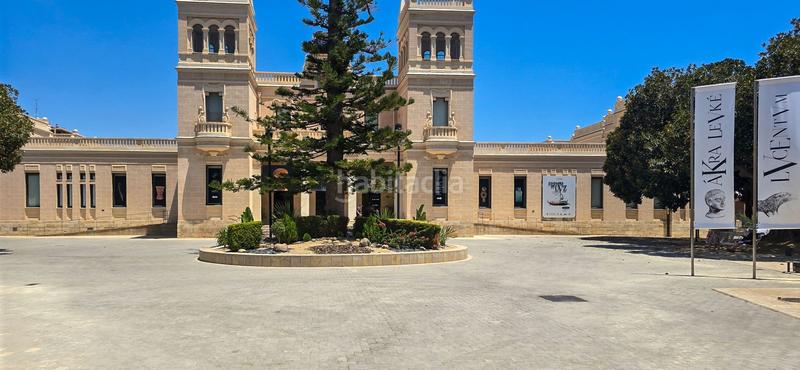 Foto 41d597c7-a989-4fa8-bffd-5b58a25b4e5c. Pis a Carolinas Bajas Alicante