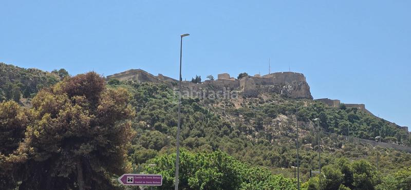 Foto b3bbb60a-8f82-48a3-bd32-ad5bef2fc3d1. Pis a Carolinas Bajas Alicante