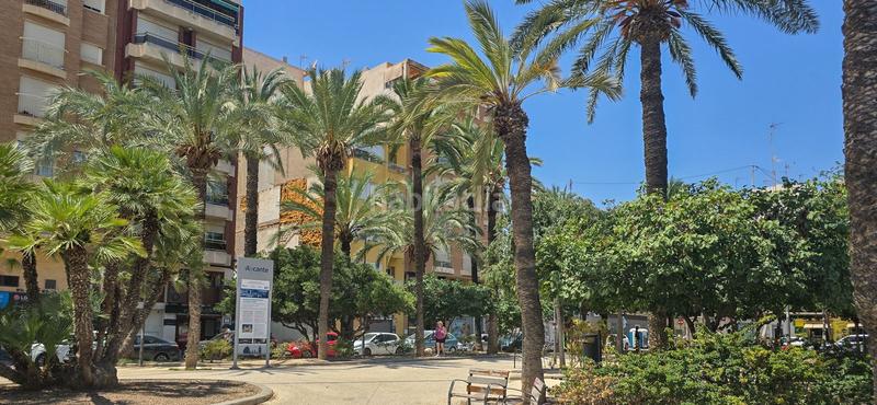 Foto bb417e60-c20c-455c-994a-db494c6b3bf5. Pis a Carolinas Bajas Alicante