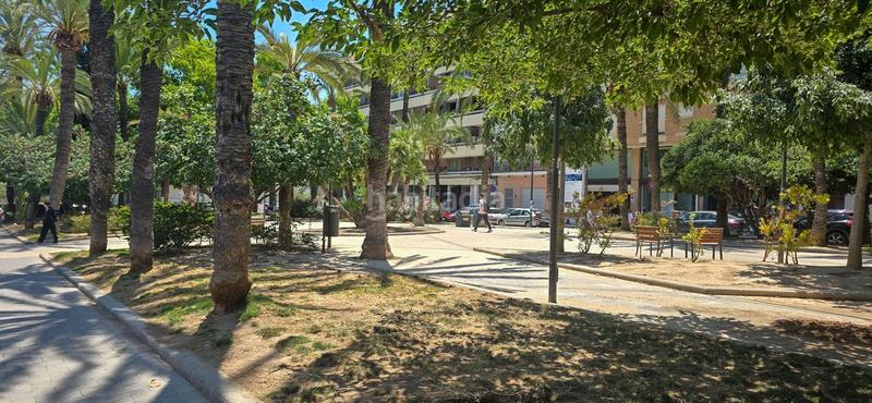 Foto bb9ea822-d2b3-40ee-a8b2-7e8ed1ae9535. Pis a Carolinas Bajas Alicante