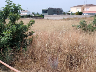Residential Plot in Rascanya. Parcela urbana en venta   rascaña