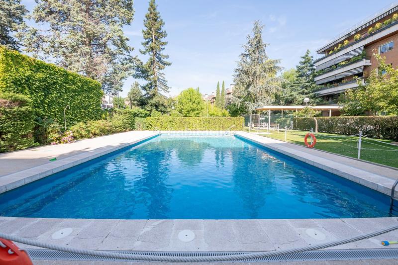 Foto e0dd1826-d89c-4446-a6e6-815cb3f44f67. Rent flat with heating pool in Ciudad Universitaria Madrid