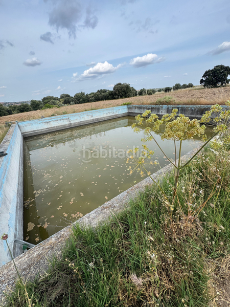 Foto 33c19c2e-59fe-4b4f-9cb0-38e09310cb9e. Casa con riscaldamento in La Dehesa - El Pinar Navalcarnero