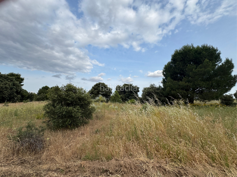 Foto 89e3910f-6e6e-4111-9b00-4c67ccd0a15c. Casa con riscaldamento in La Dehesa - El Pinar Navalcarnero