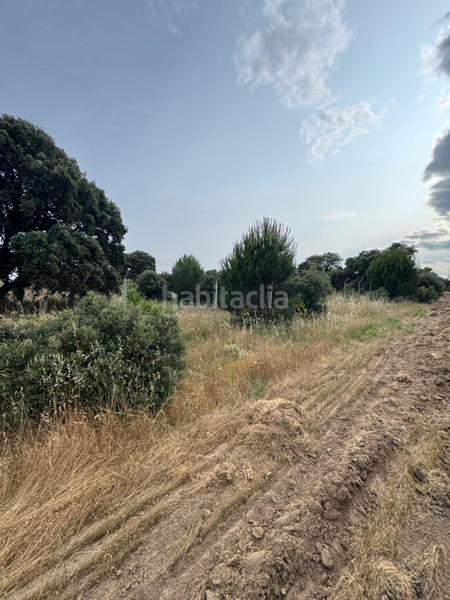 Foto 97f77a2b-5c51-4a29-b5eb-aad2e2438464. Casa con riscaldamento in La Dehesa - El Pinar Navalcarnero