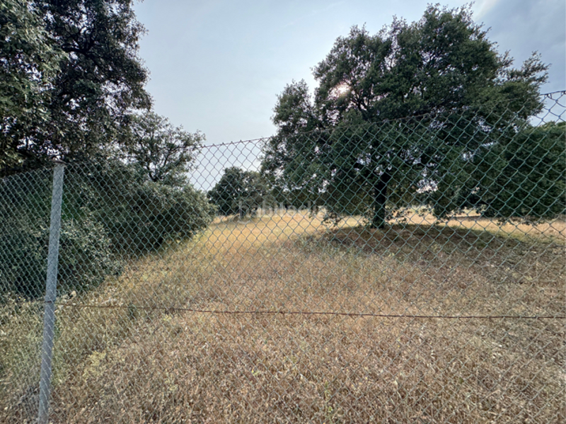 Foto 9fdc533a-a48c-4acd-9764-8cc385324ca1. Casa con riscaldamento in La Dehesa - El Pinar Navalcarnero