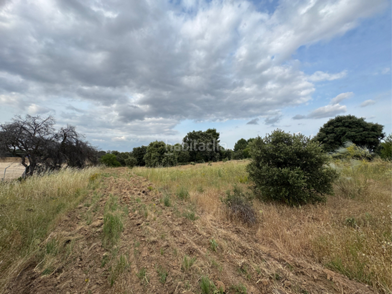 Foto a35b8343-d16f-43ff-9af7-7f6a5d1ea3ce. Casa con riscaldamento in La Dehesa - El Pinar Navalcarnero