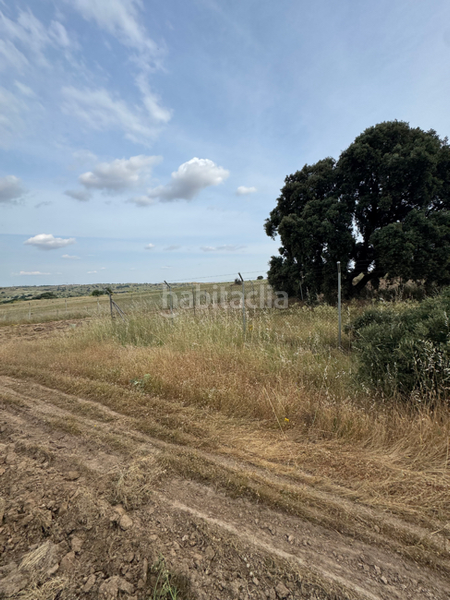 Foto f2f05e9c-4885-4808-8c72-34c6e083a393. Casa con riscaldamento in La Dehesa - El Pinar Navalcarnero