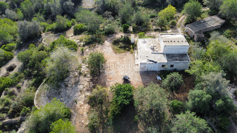 Foto 07d8e2c2-e454-4495-8f08-bde616e576ea. Finca rústica finca en venta santa eulalia, ibiza en Santa Eulària