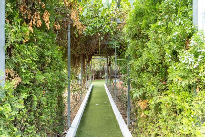 Foto a8f061d8-09aa-48d6-a295-e3d91e44ddce. Casa finca rústica en venta con 4 viviendas independientes alfara de la baronia en Alfara de Algimia