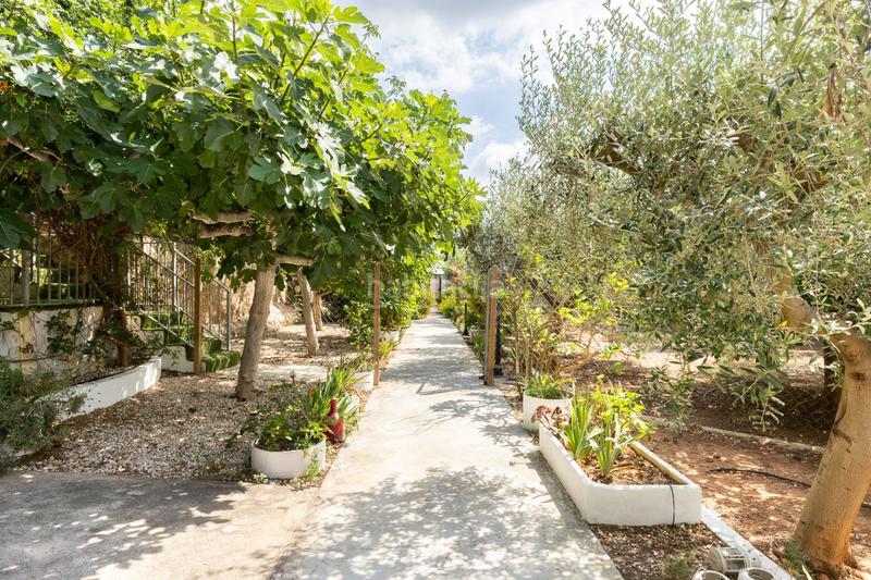 Foto da36c253-1776-4c6b-838c-887f86022c05. Casa finca rústica en venta con 4 viviendas independientes alfara de la baronia en Alfara de Algimia