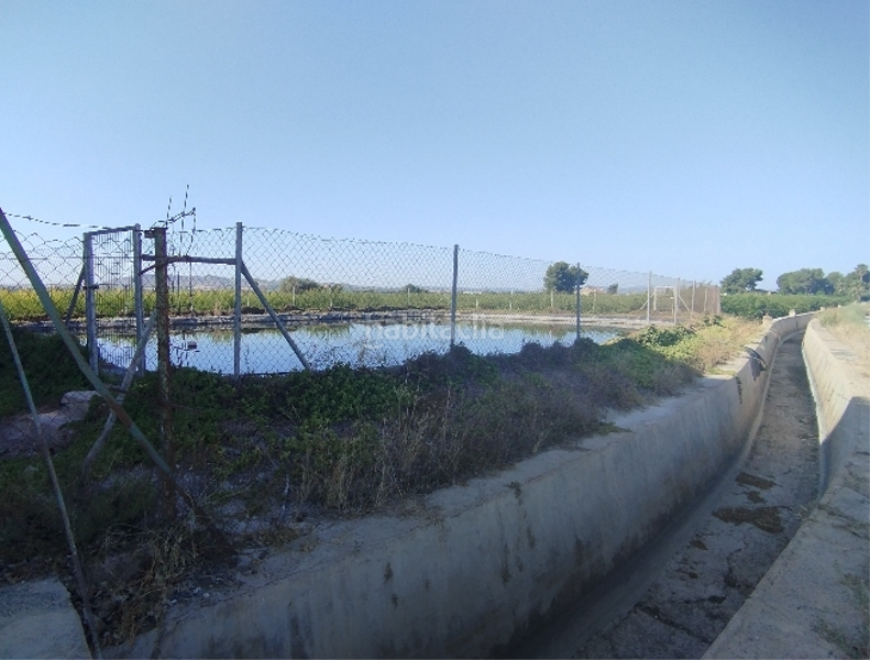 Foto 099c8ab7-e9e1-4513-8aac-e0ac08d8a82e. Residential plot in Almoradí