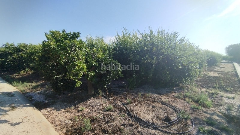 Foto 58dd36aa-4e80-45f2-8c04-e853b79df1ef. Residential plot in Almoradí