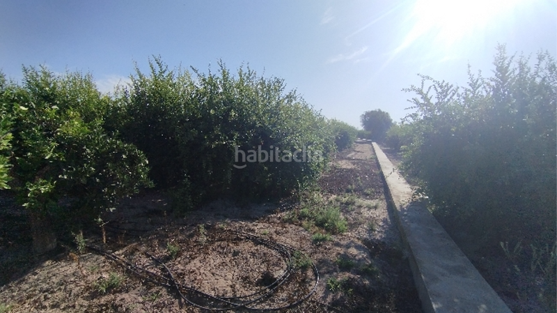 Foto a5142419-7492-453e-8bd1-ba094f28252d. Residential plot in Almoradí