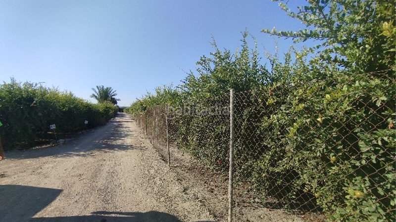 Foto a9baec51-ee93-446d-b779-c105c546abde. Residential plot in Almoradí