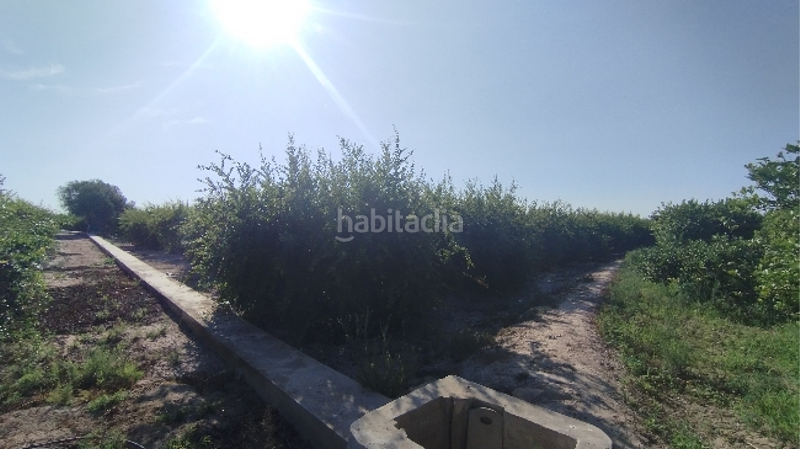 Foto cfbc4753-5ec0-4d62-ab46-5356ccc9b864. Residential plot in Almoradí